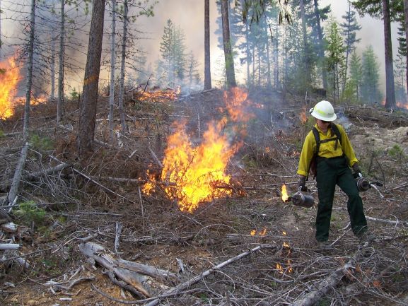 You are currently viewing Prescribed Fire, Controlled Burning – What you Need to Know