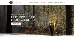 Read more about the article Please Enjoy our new Website!