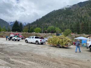 Read more about the article Woody Debris Recycling Days Event