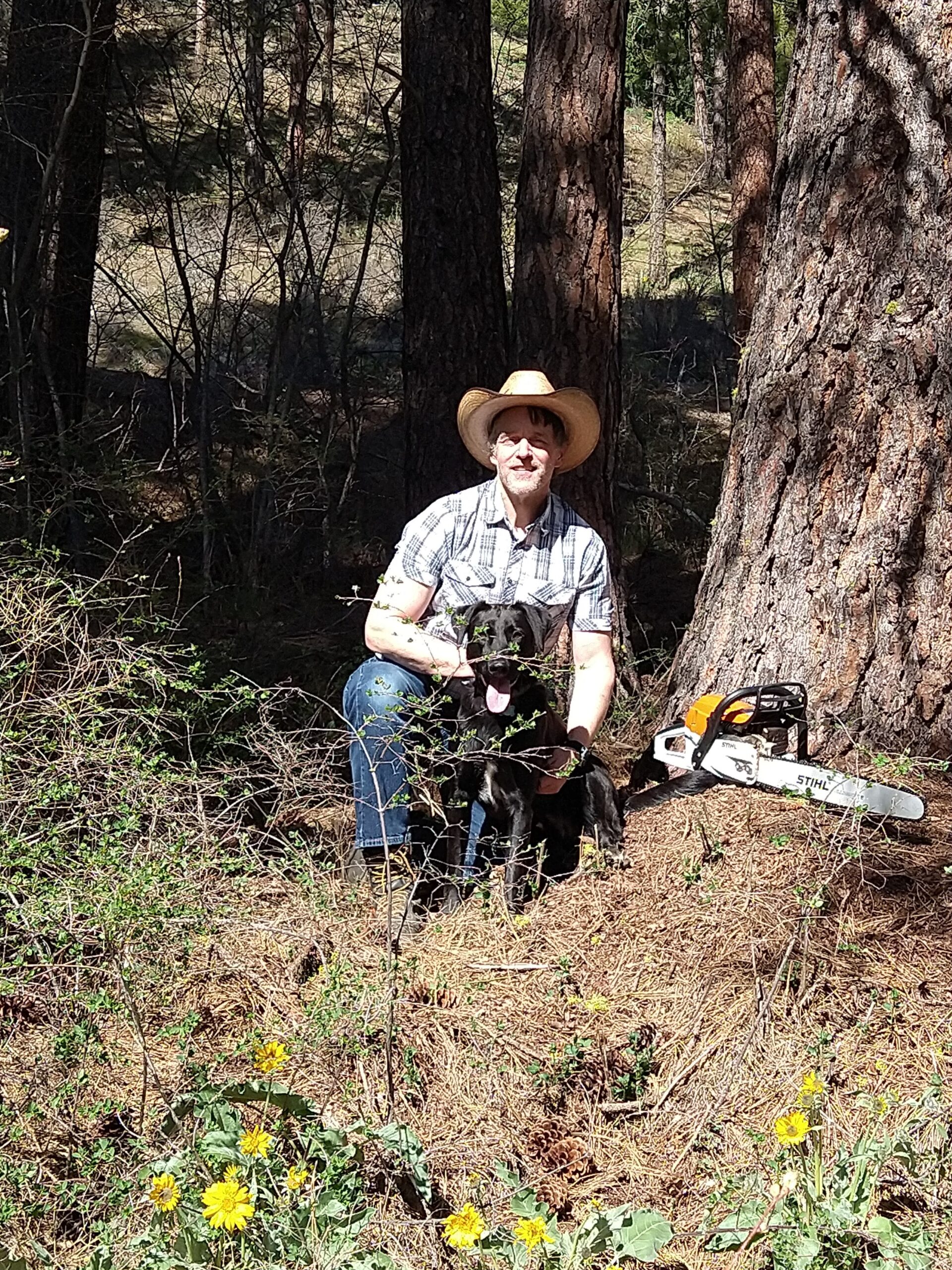 You are currently viewing CWSC Contractor Spotlight  with Metau Resilient Forests