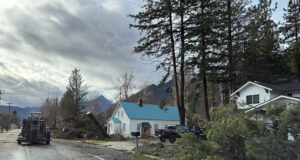 Fallen trees near houses